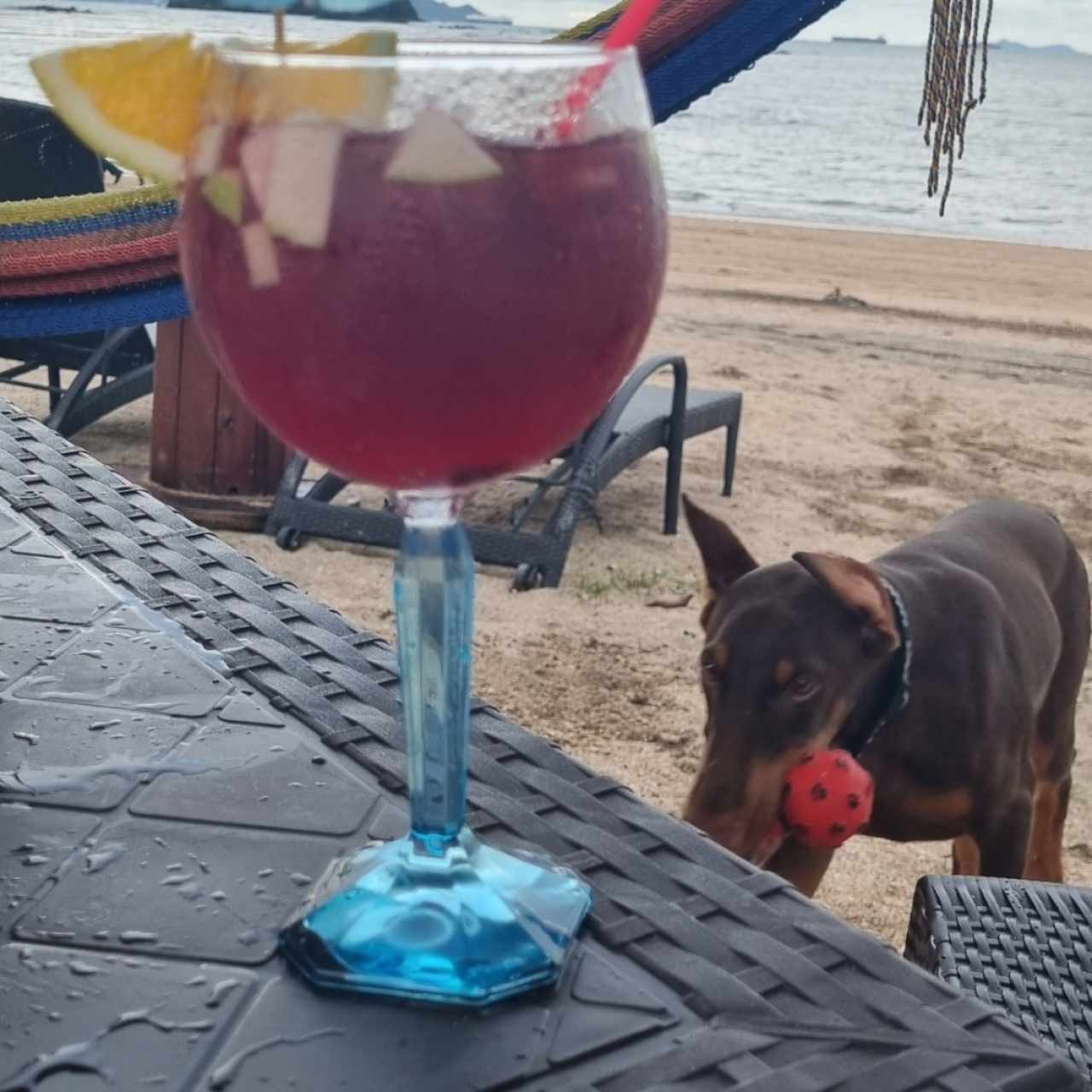 Sangria Sunset