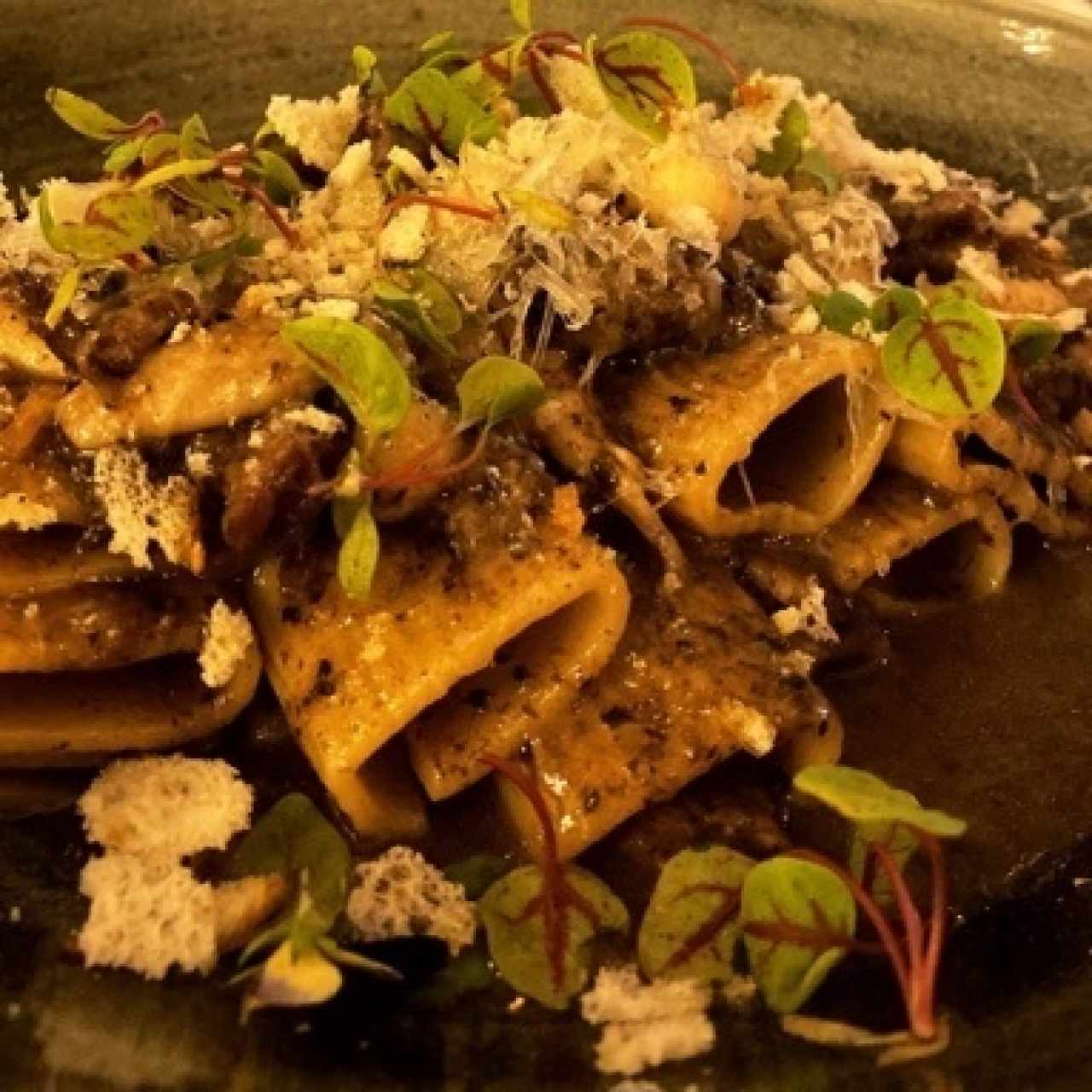 Pastas - Pappardelle Short Rib