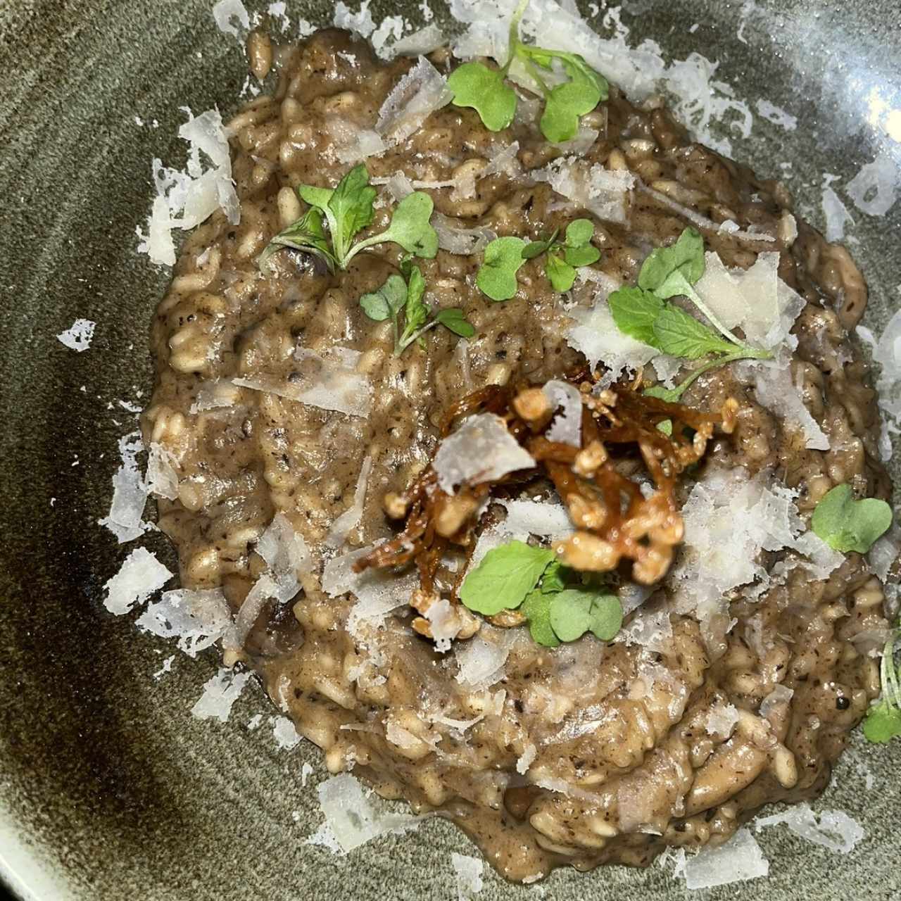 Risotti - Risotto di Funghi