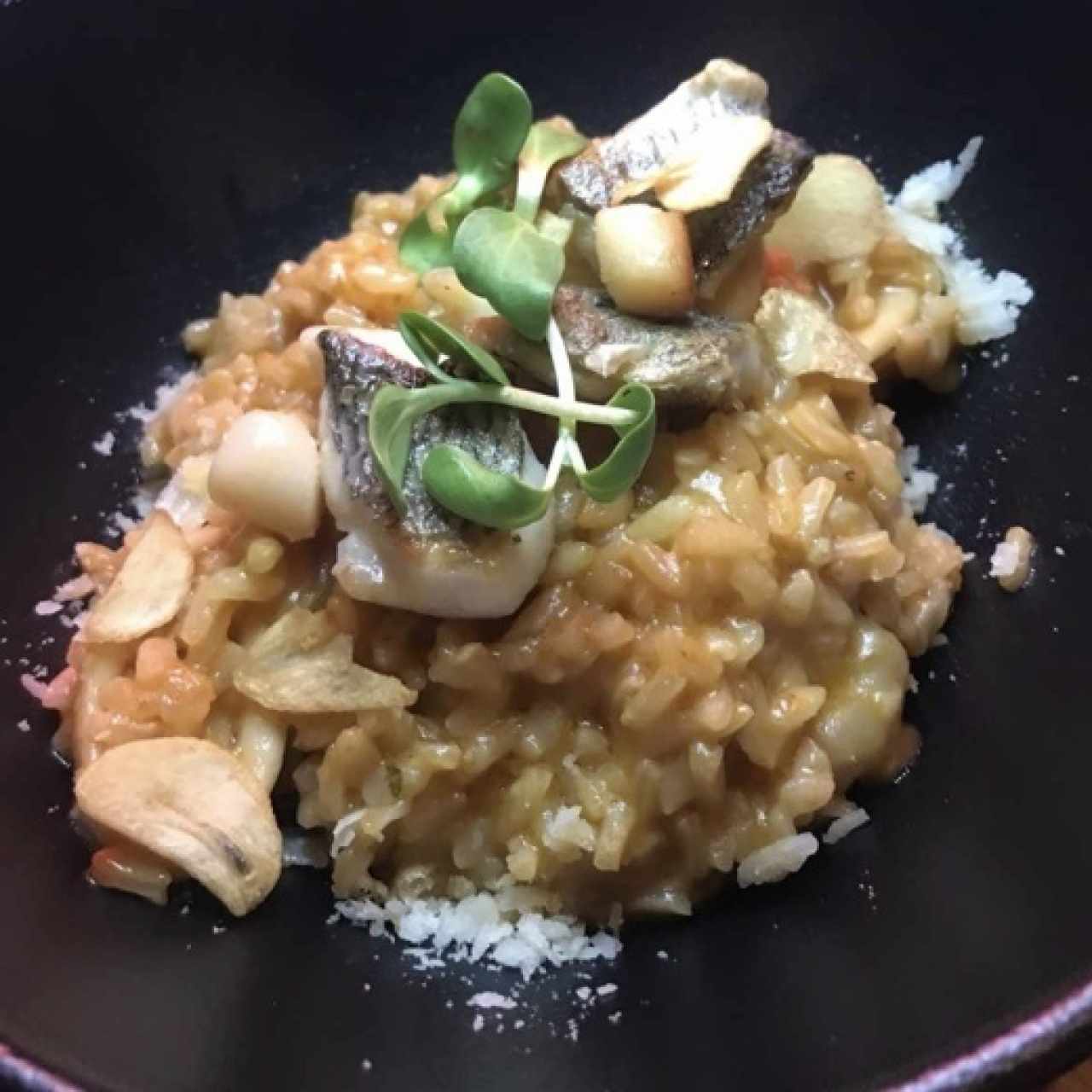 Risottos - Risotto di Funghi