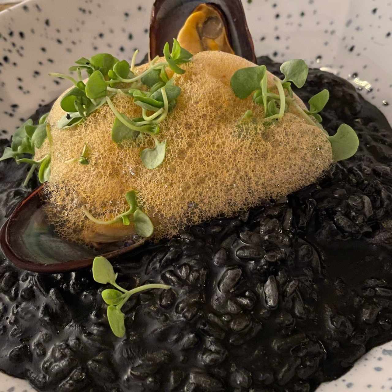 Risotto Nero di Seppia e Gamberetti