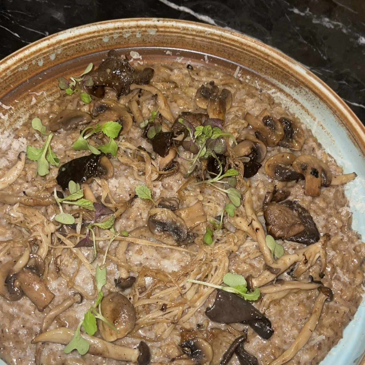 Risotti - Risotto di Funghi