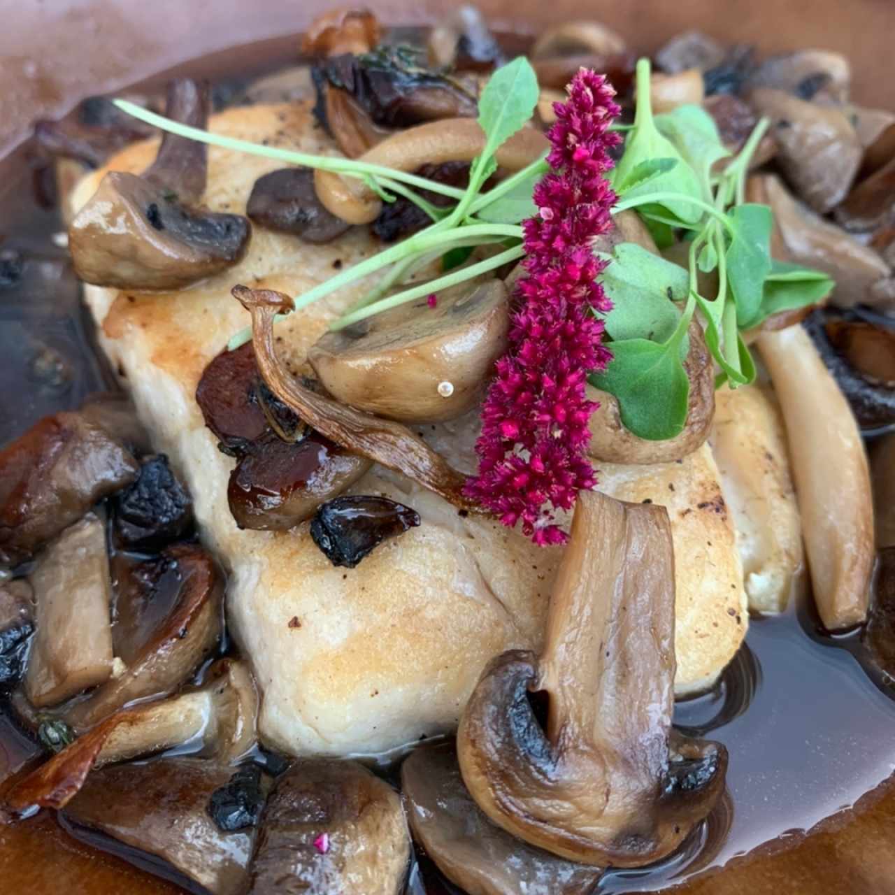 Corvina en brodo de champiñones con aroma de trufa