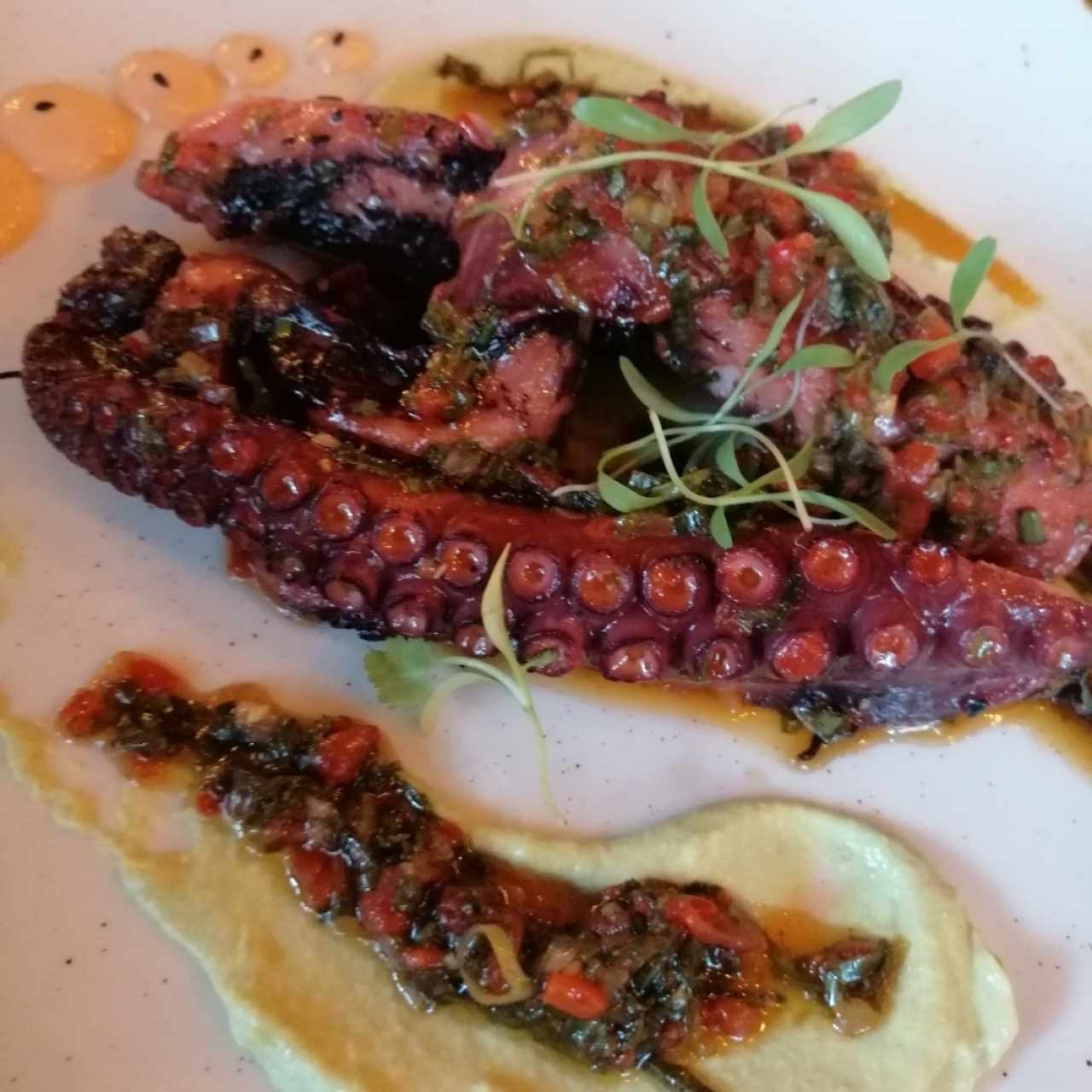 Pulpo en cama de Humus 