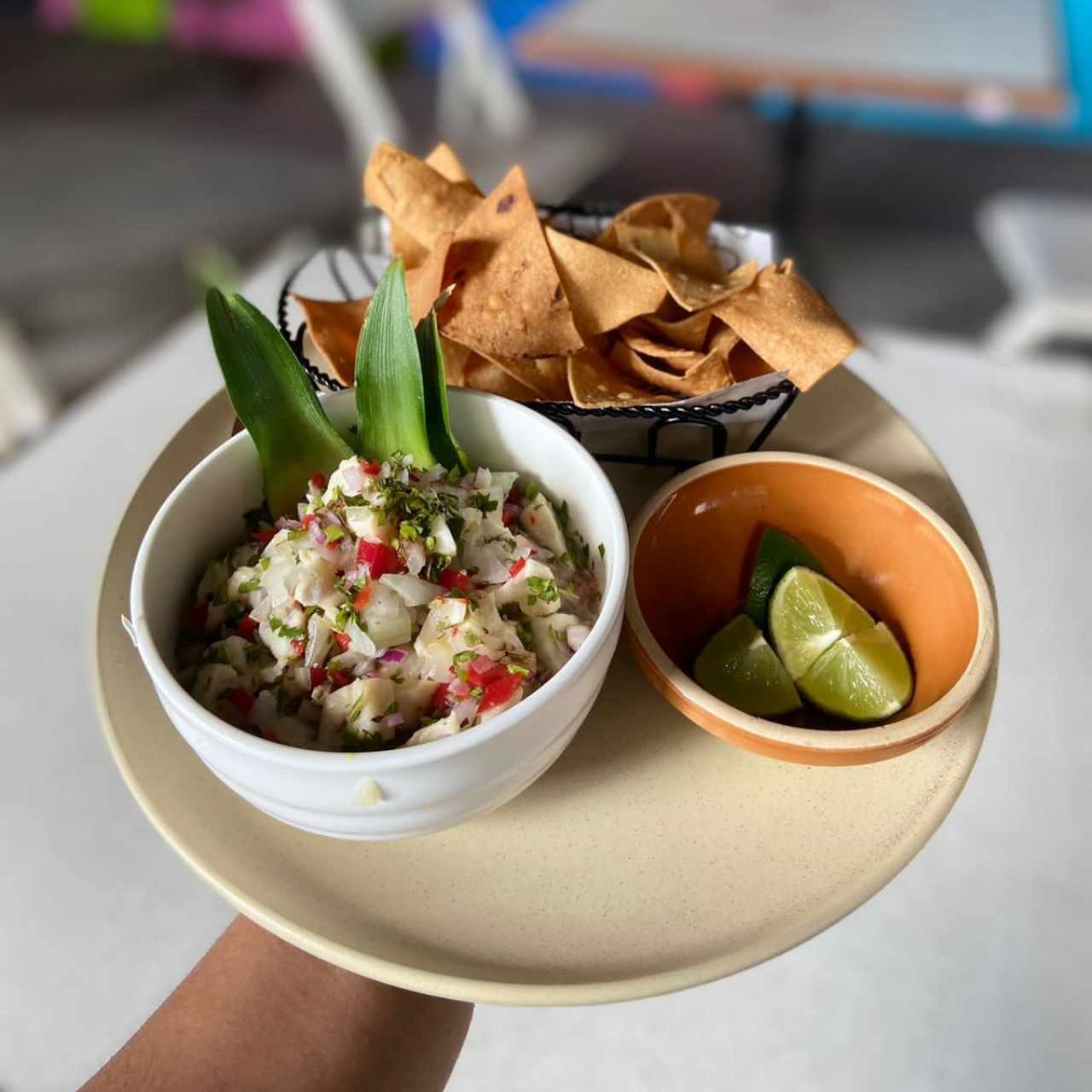 Ceviche 