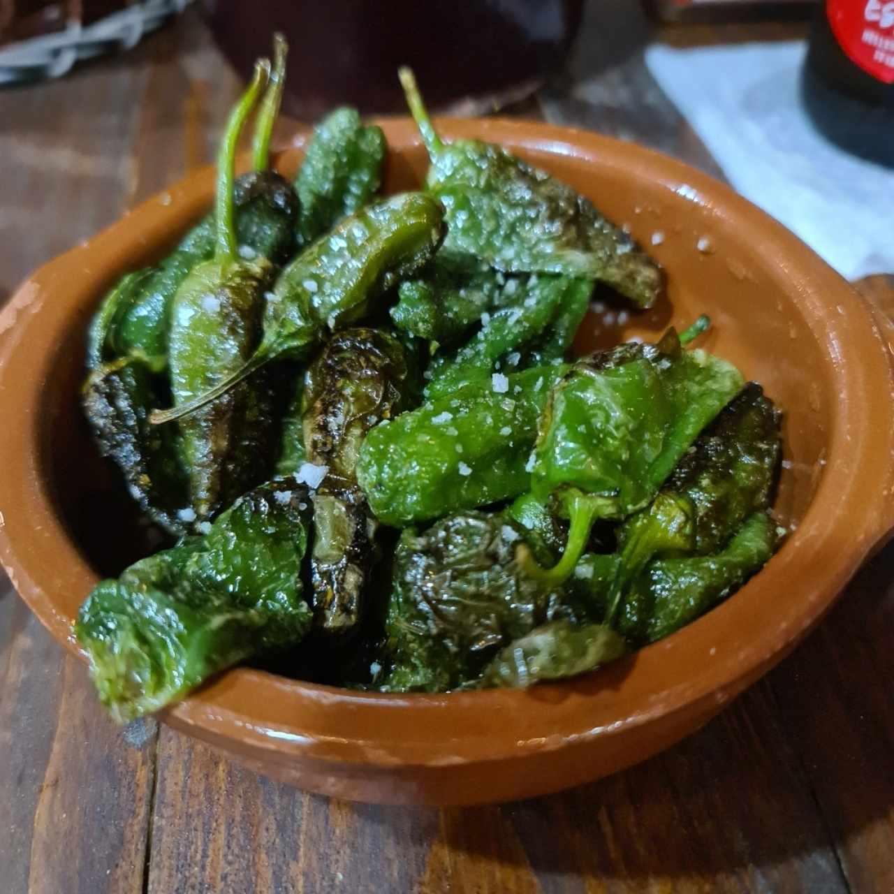 Pimientos del Padrón 