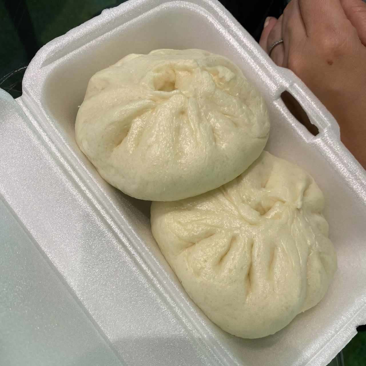 Hampao de puerco vegano