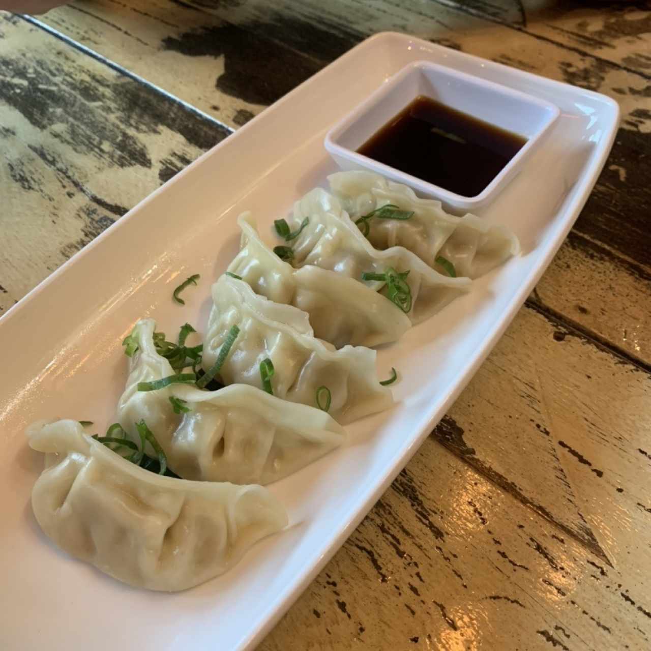 gyozas combinacion 