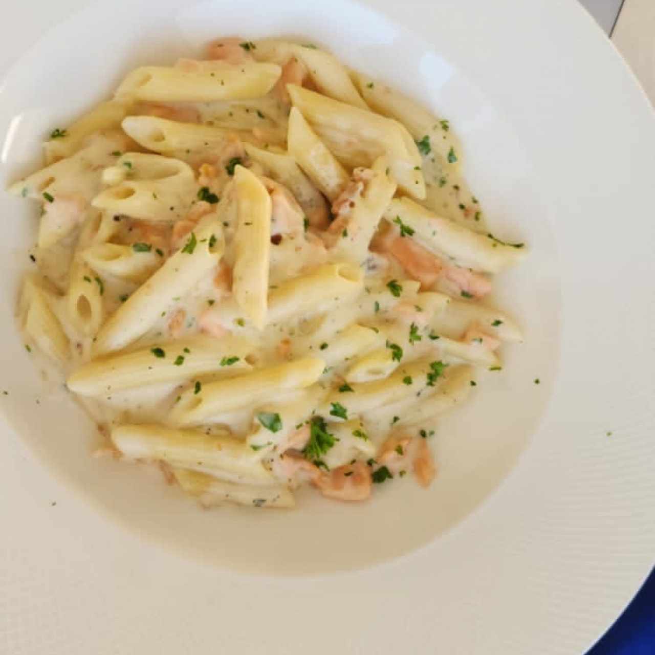 Penne con salmon en salsa blanca 