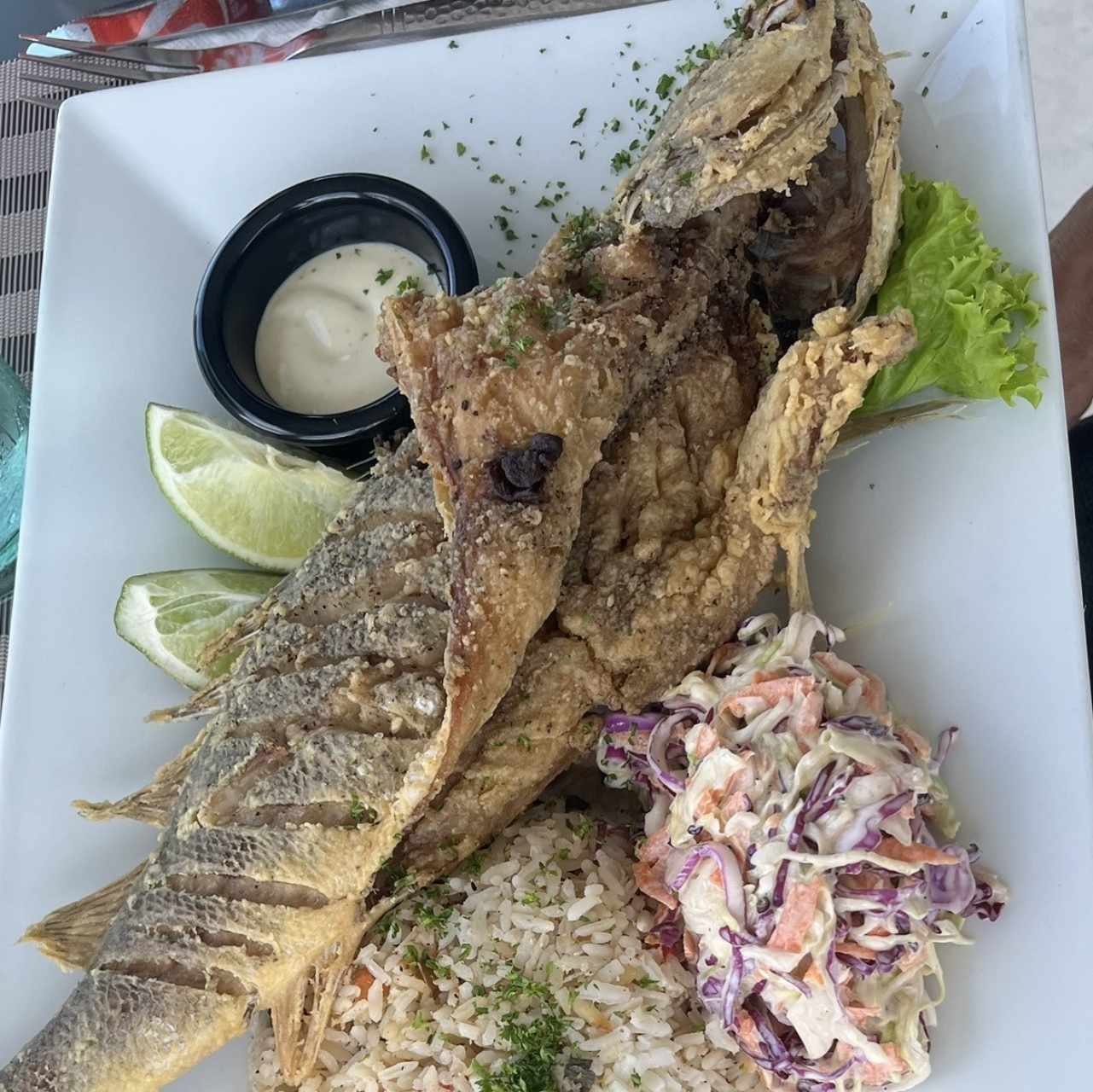 Corvina 