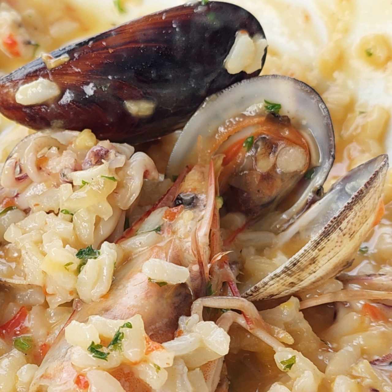 Risotto Frutti di Mare