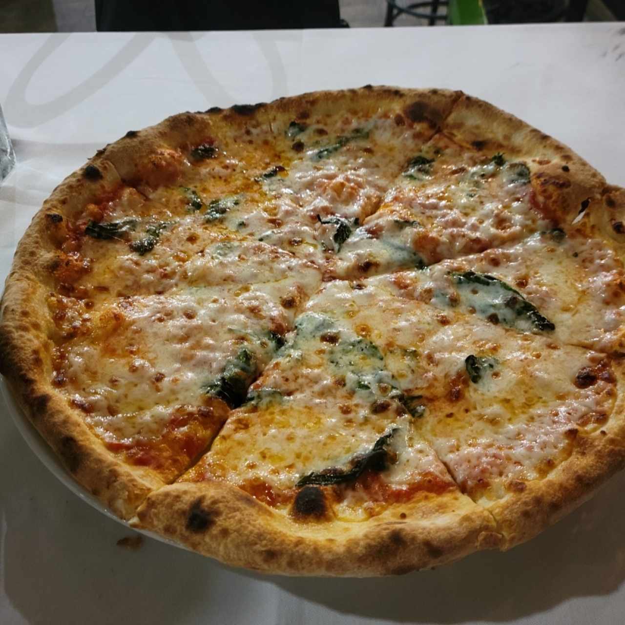 pizza margherita 