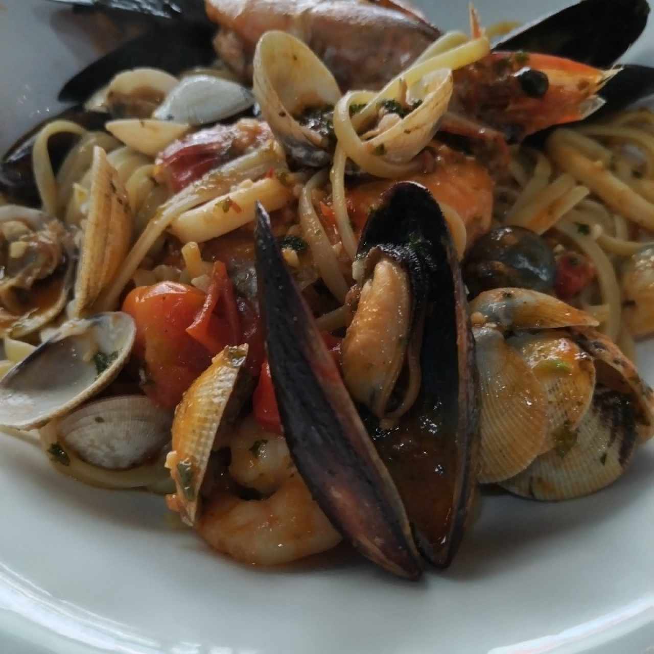 Linguine ai frutti di mare