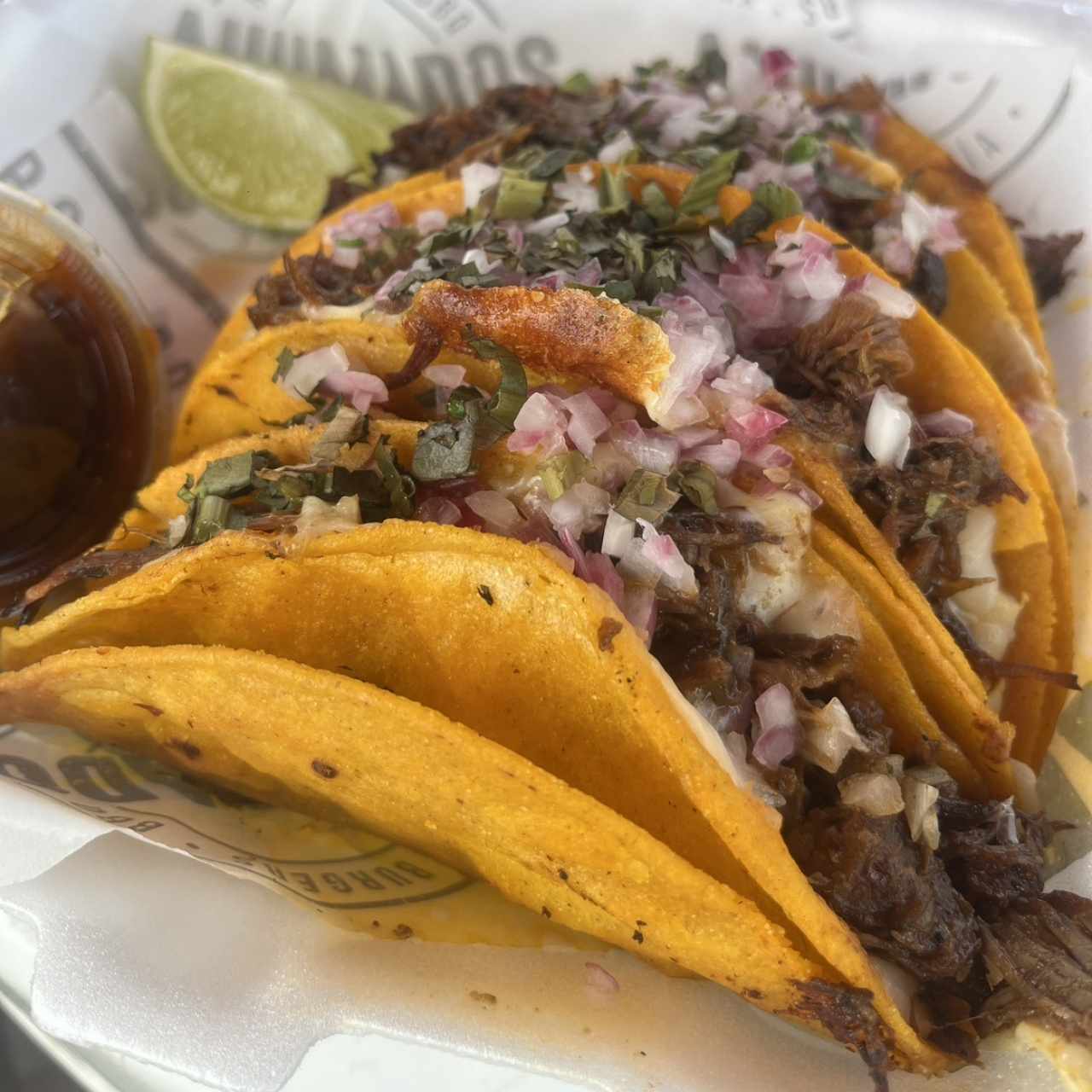 Tacos de birria de res