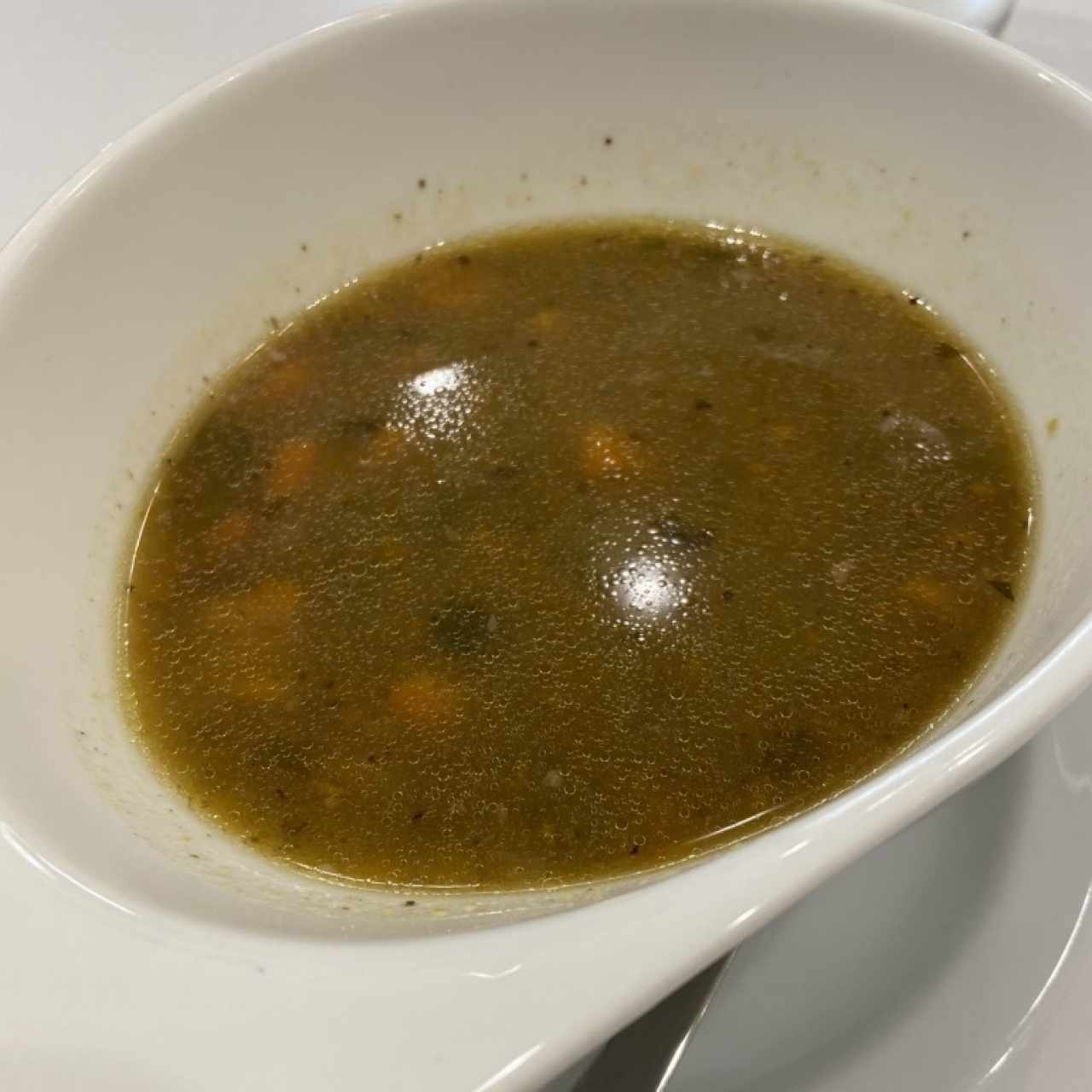 Sopa o Crema del Día