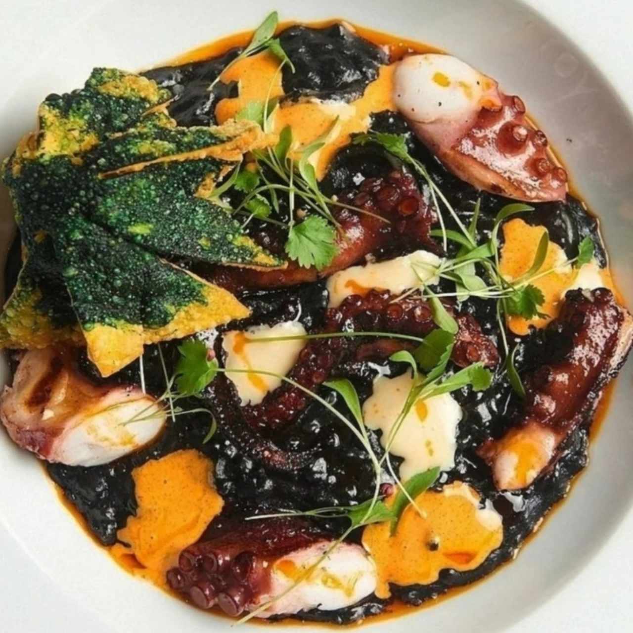 pulpo con arroz meloso con tinta de calamar 