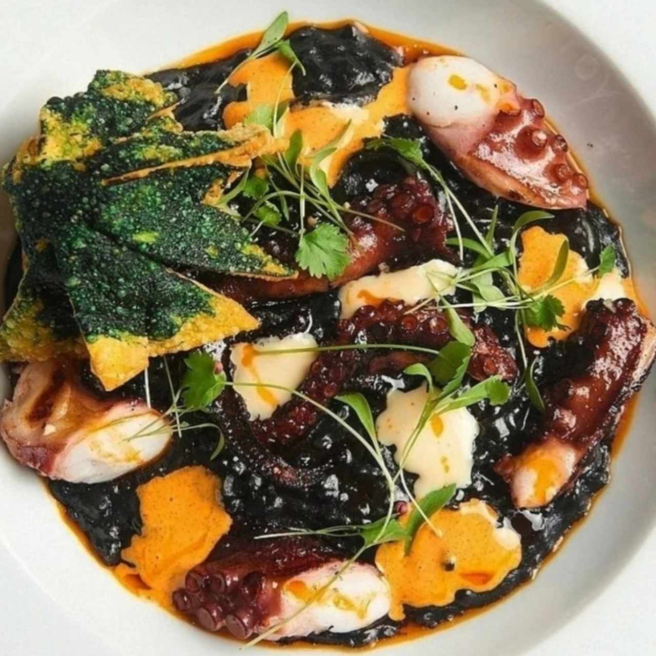 pulpo a la brasa con arroz meloso con tinta de calamar 