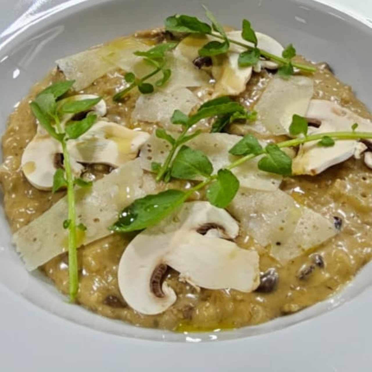 risotto de setas trufado 