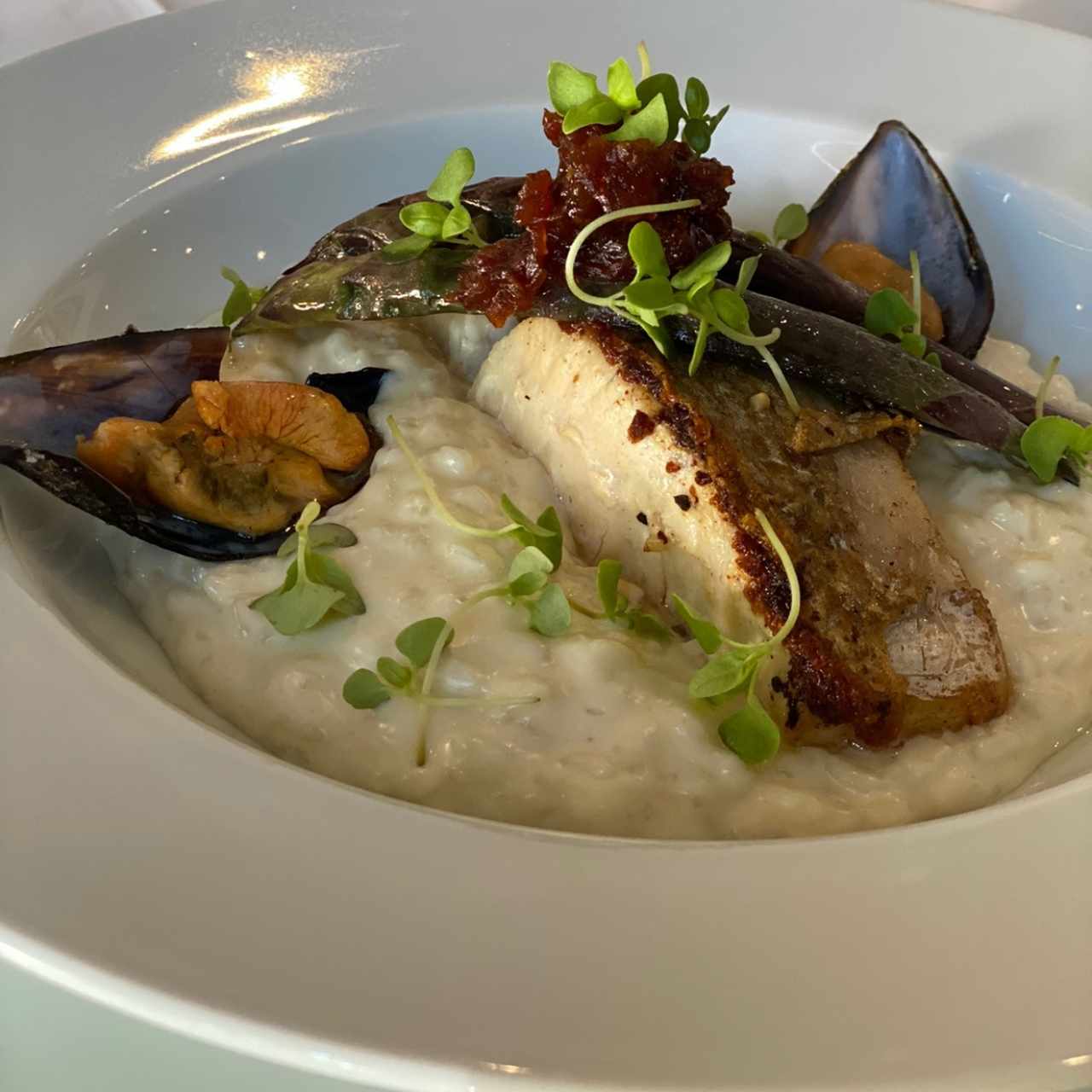 Pargo con risotto de cabra