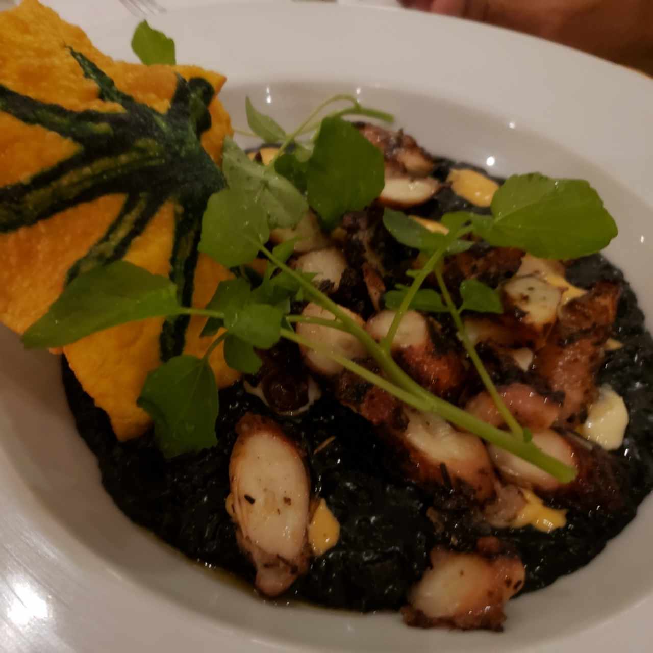 Pulpo con arroz y tinta de calamar