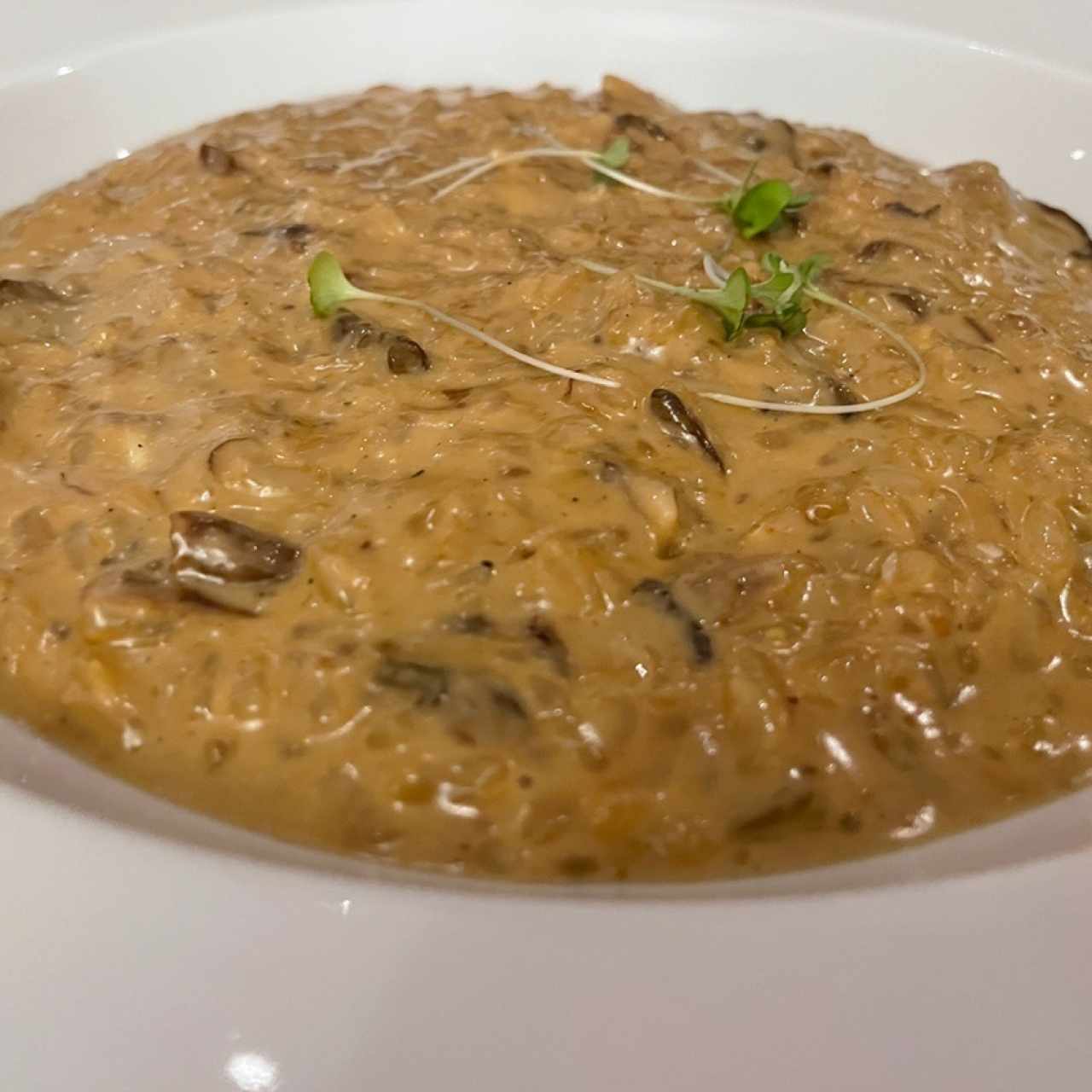 Risotto cremoso de mezcla de setas y entraña