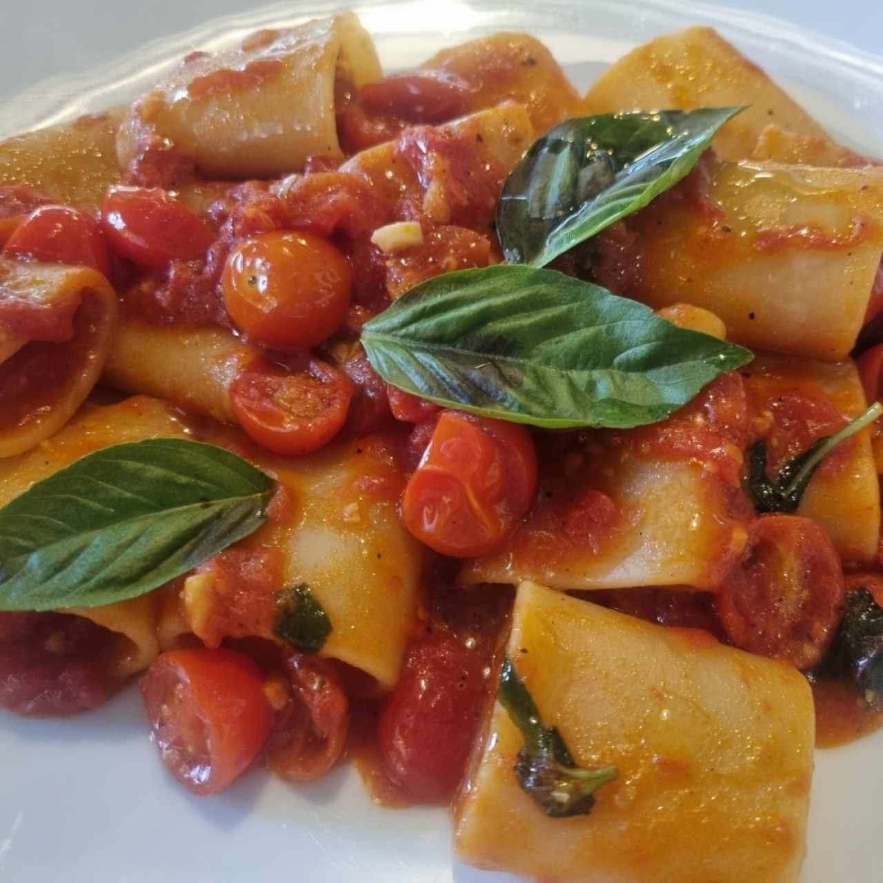 paccheri en salsa pomodoro y albahaca