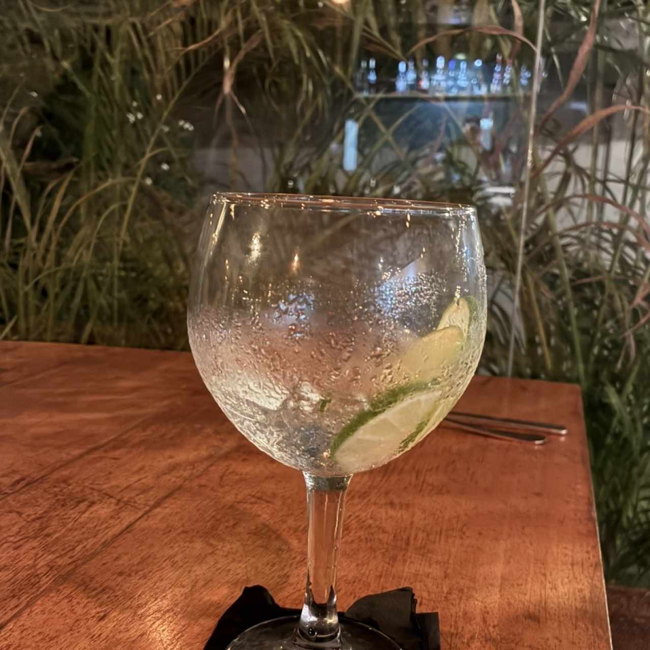 Gin & Tonic 