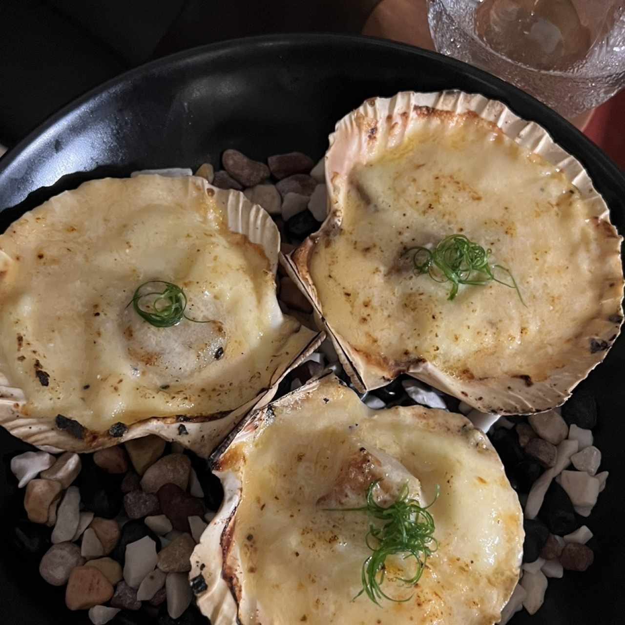 Coquilles Saint Jacques sauce Nantua