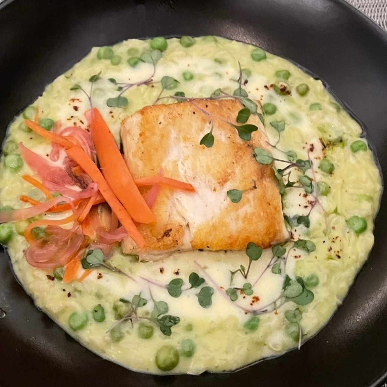 corvina con risotto