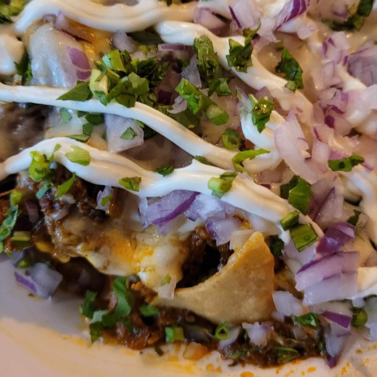 Nachos de birria