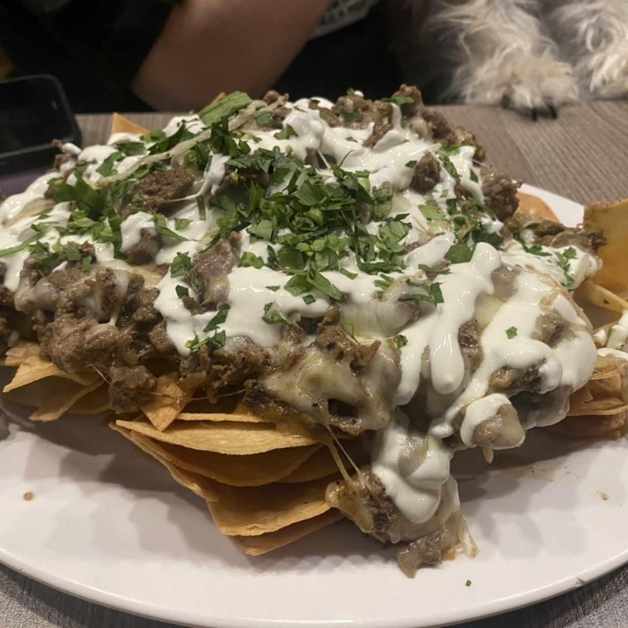 Nachos de Carne