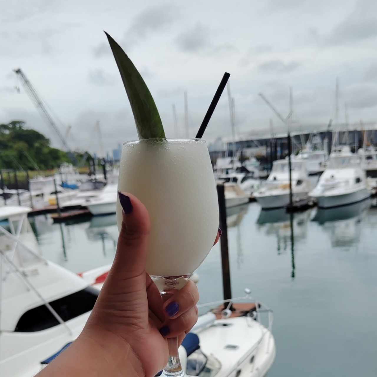 piña colada 