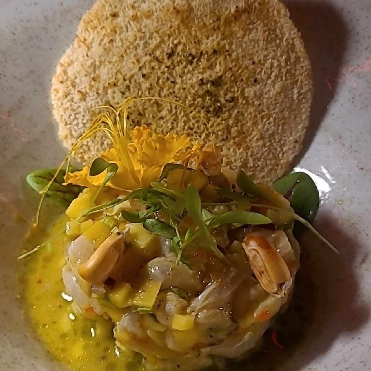 ceviche 