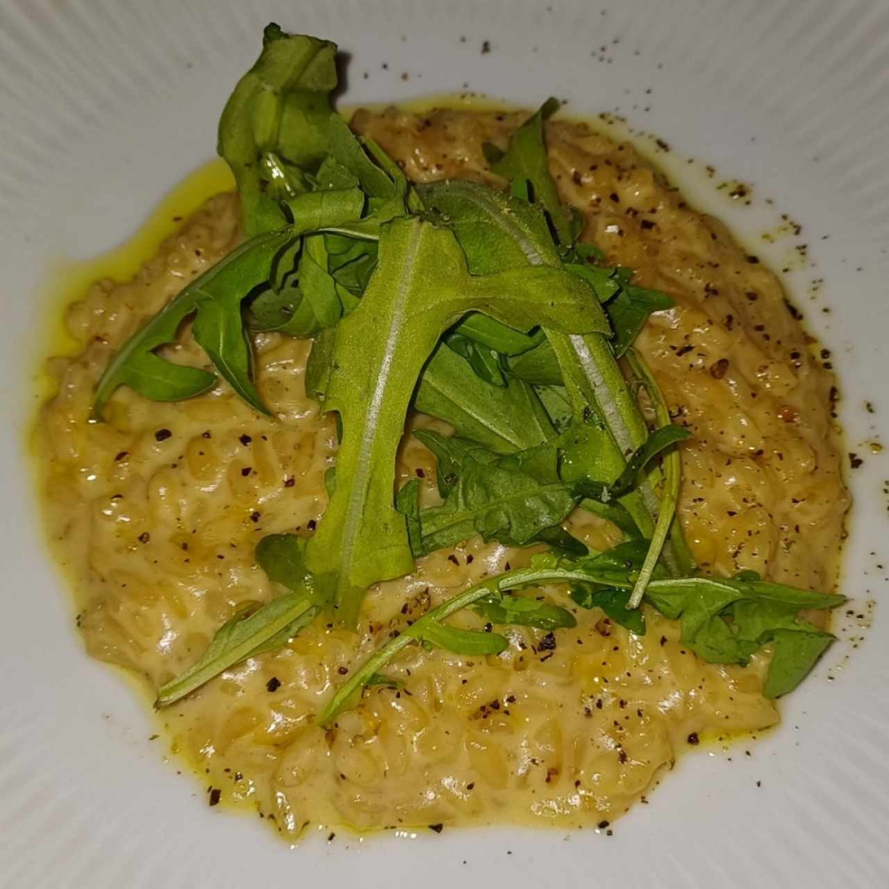 Rissoto cacio ,e Pepe Rucula