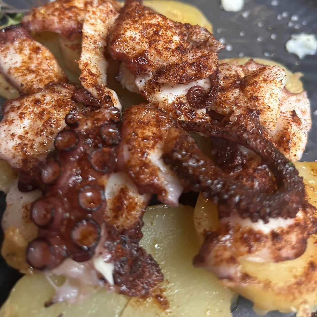 Pulpo a la Gallega