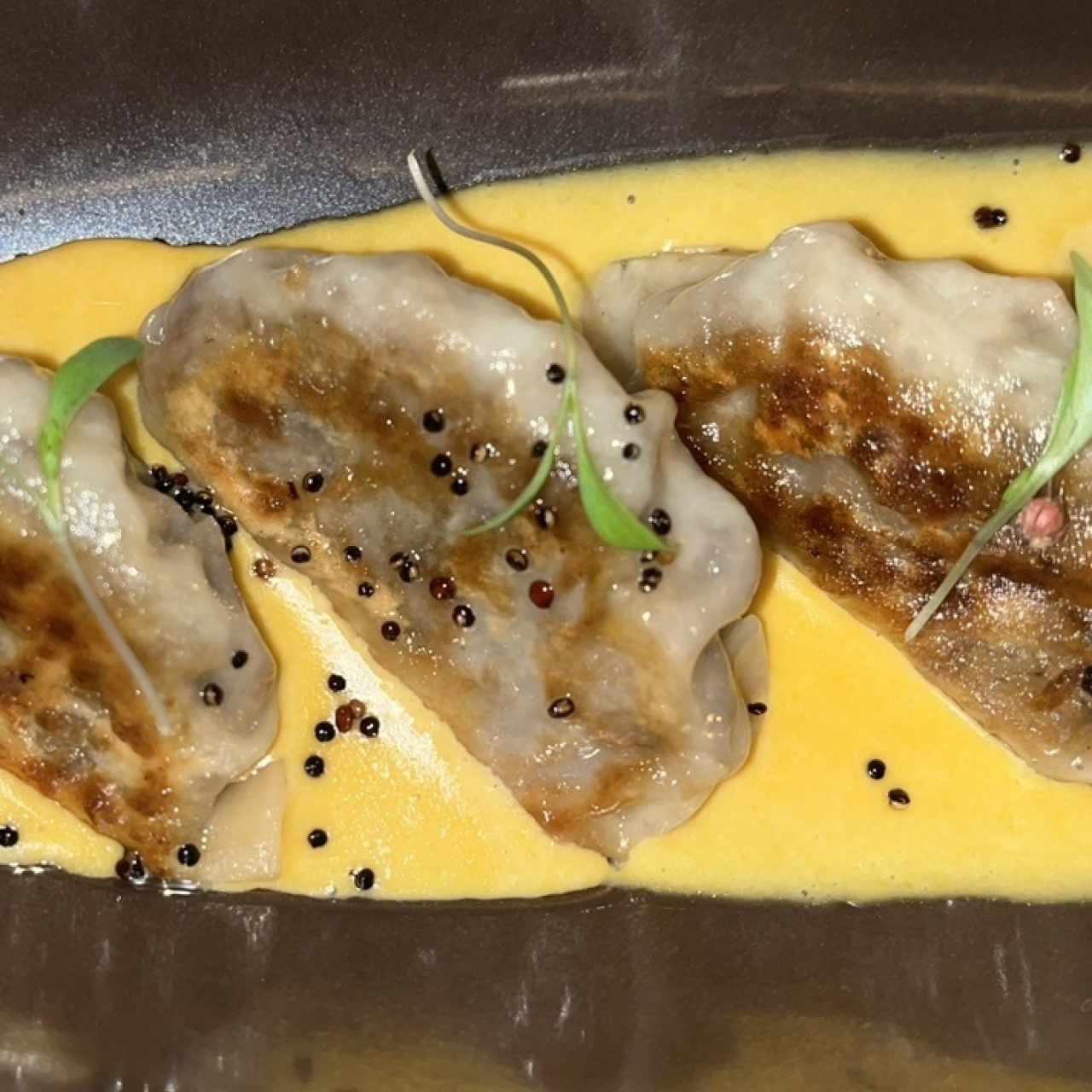 Gyozas de Pato Confitado (4uds)