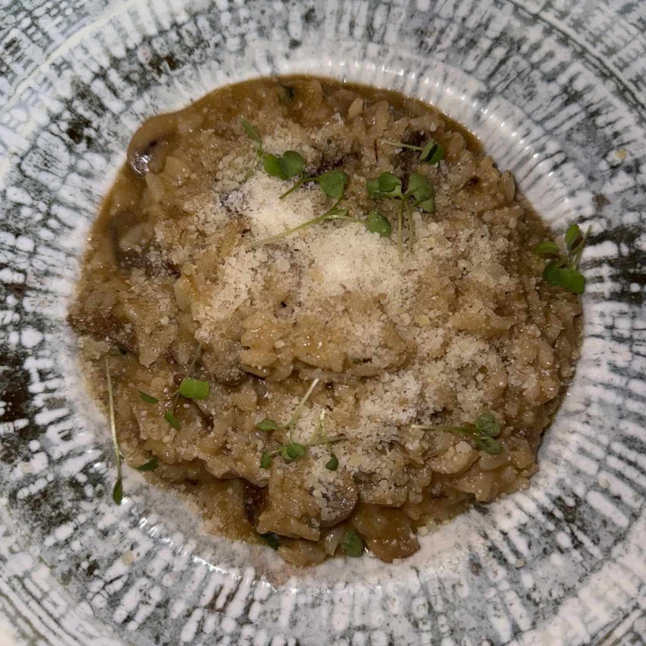 Risotto ai Due Funghi