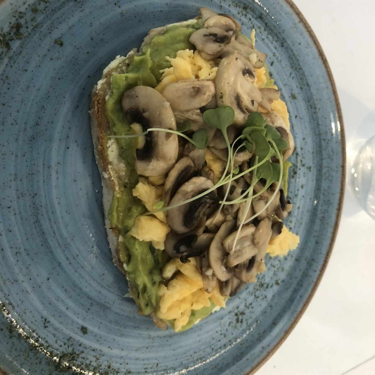 Tostadas de aguacate con hongos 