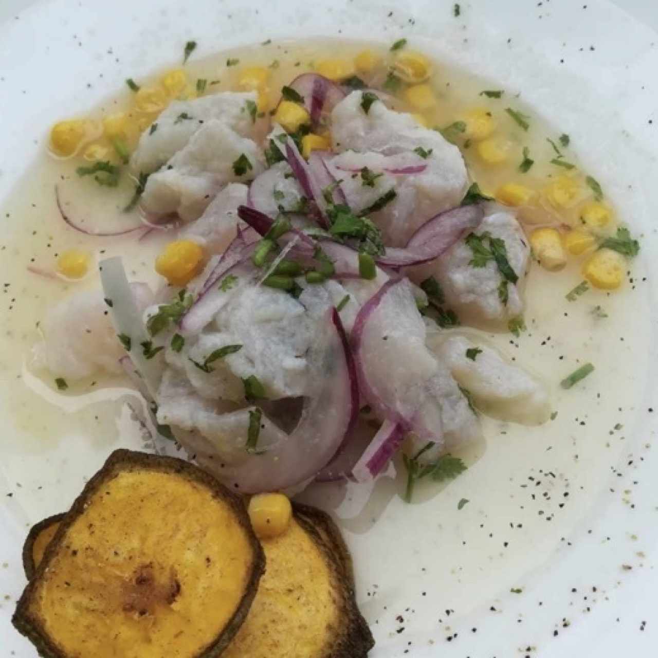 Ceviche  de Corvina