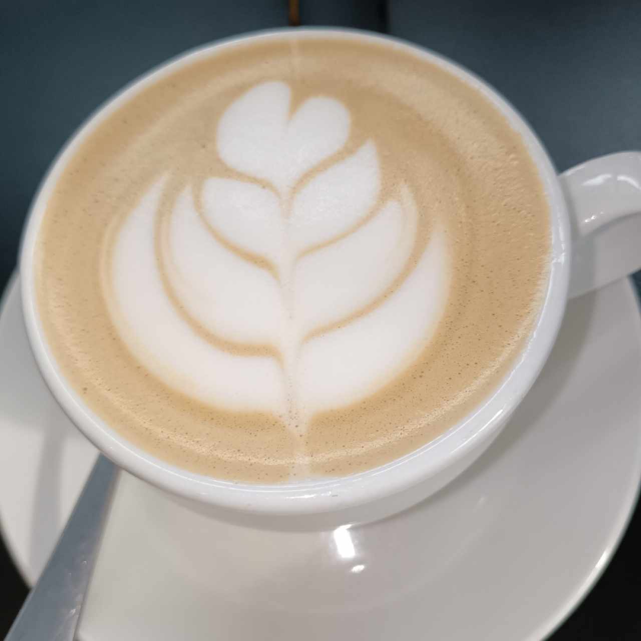 Capuchino 