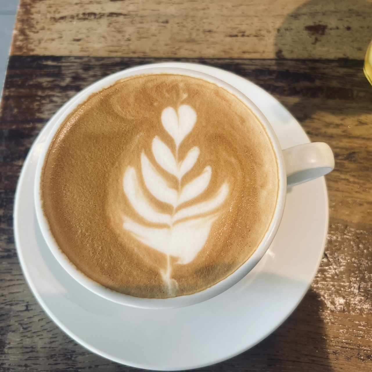 Capuccino