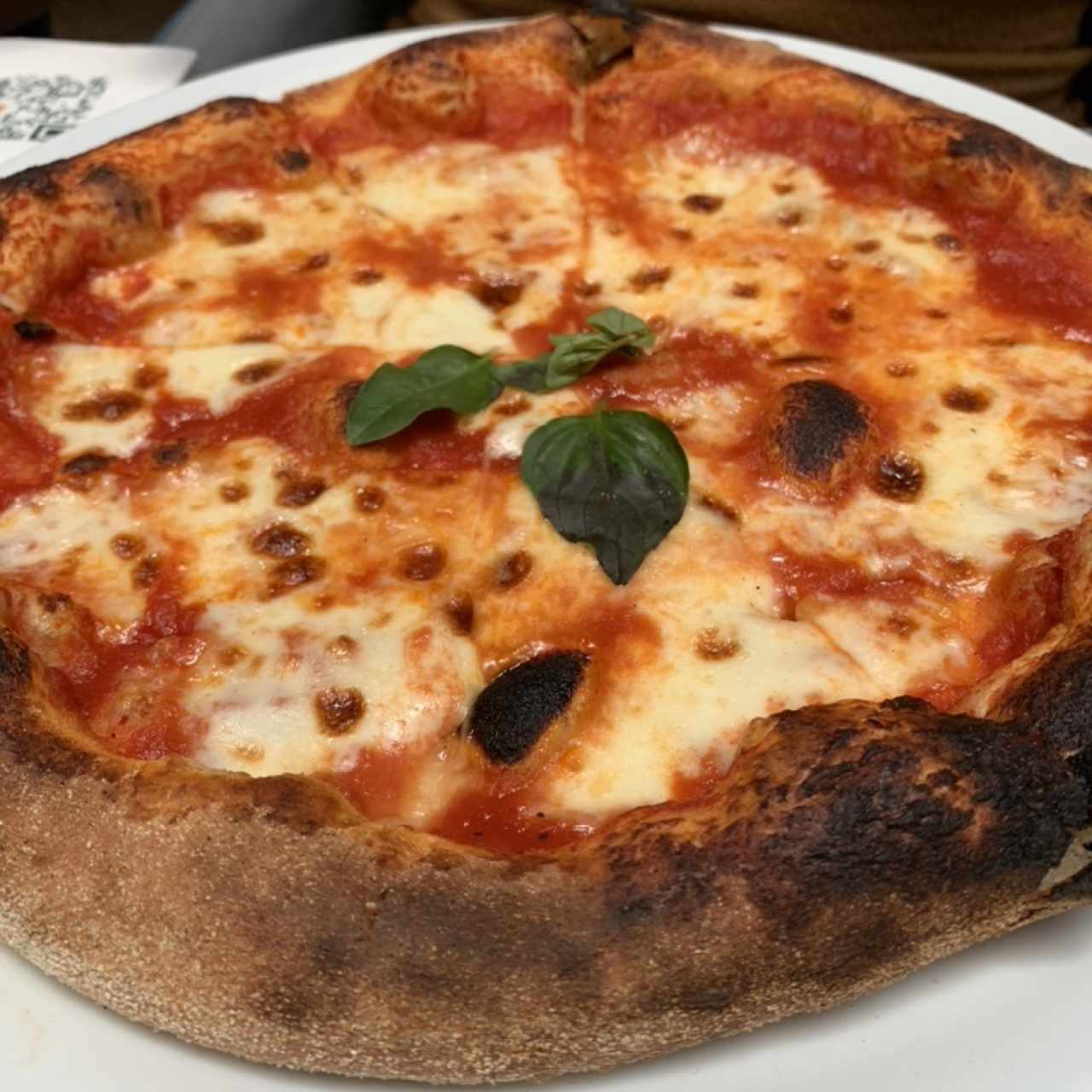 Pizza margarita