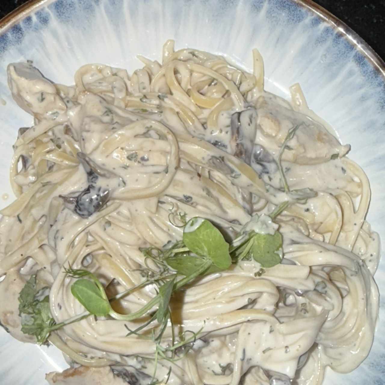 Pasta com salsa blanca 