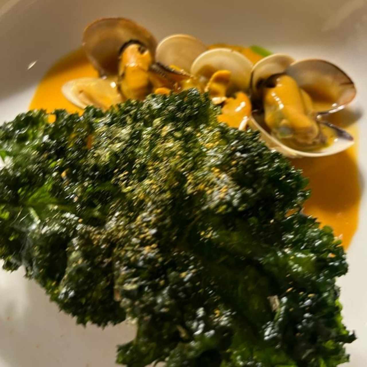 Corvina, kale, mejillones y almejaa