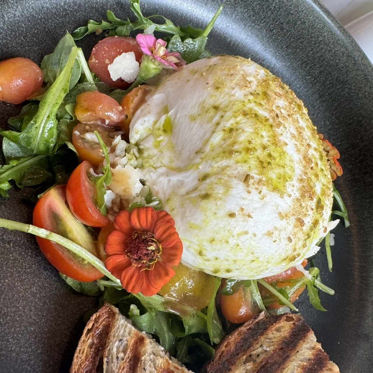 Vegetarianos - Burrata Ahumada