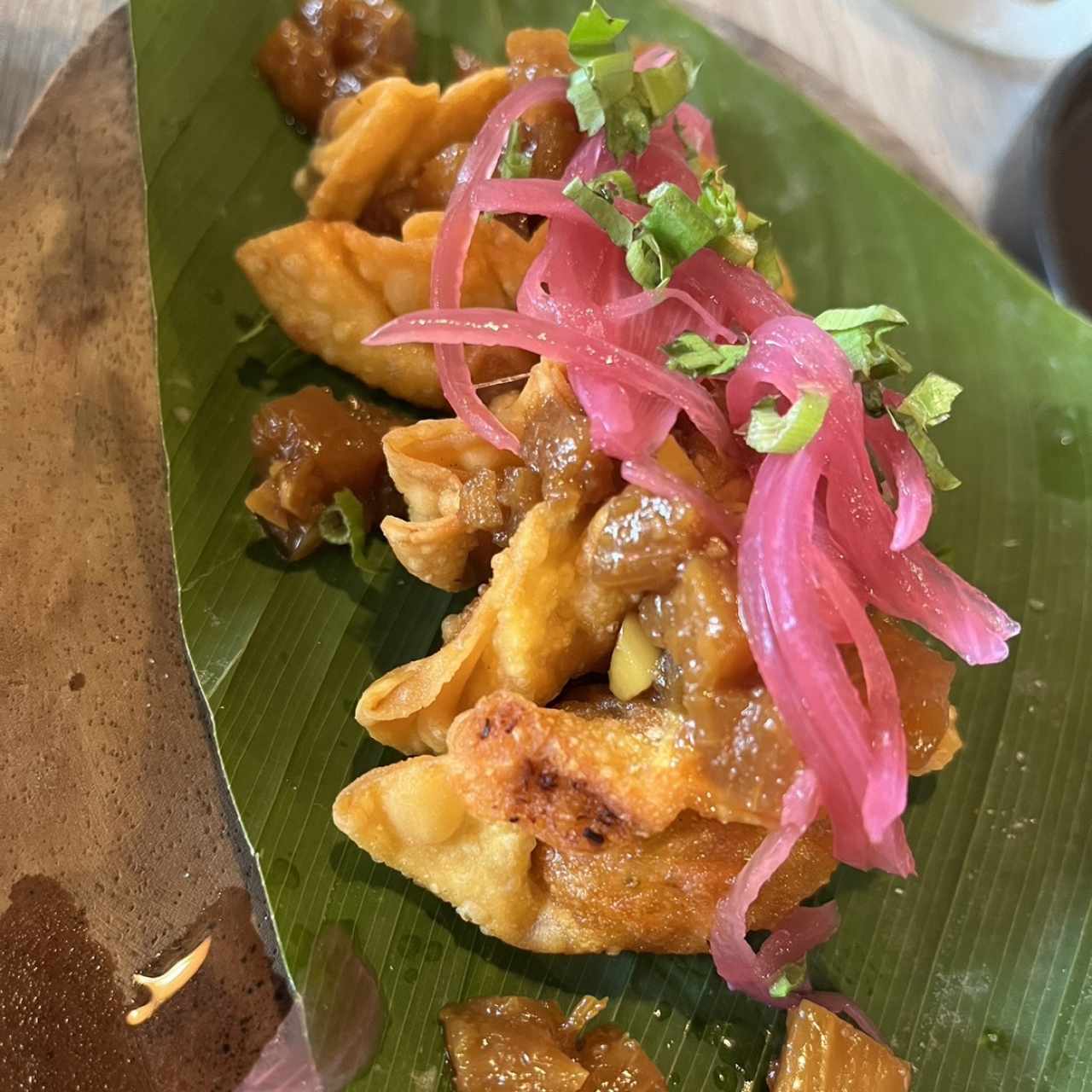 Gyosas fritas de tasajo