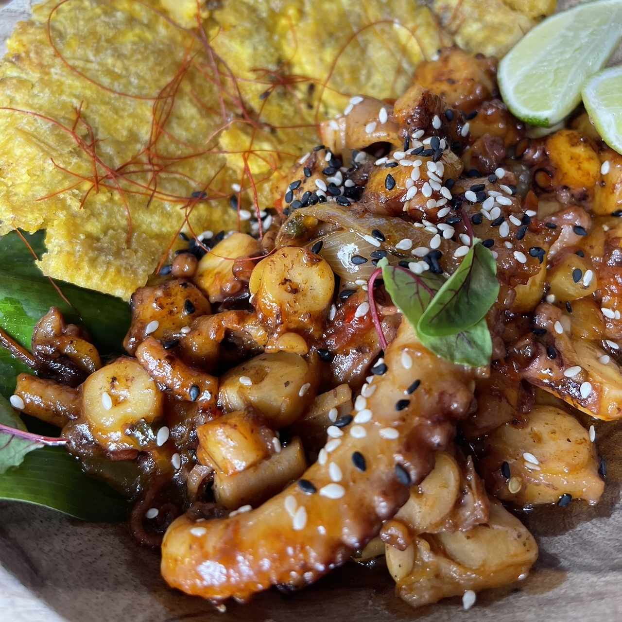 Pulpo caribeño