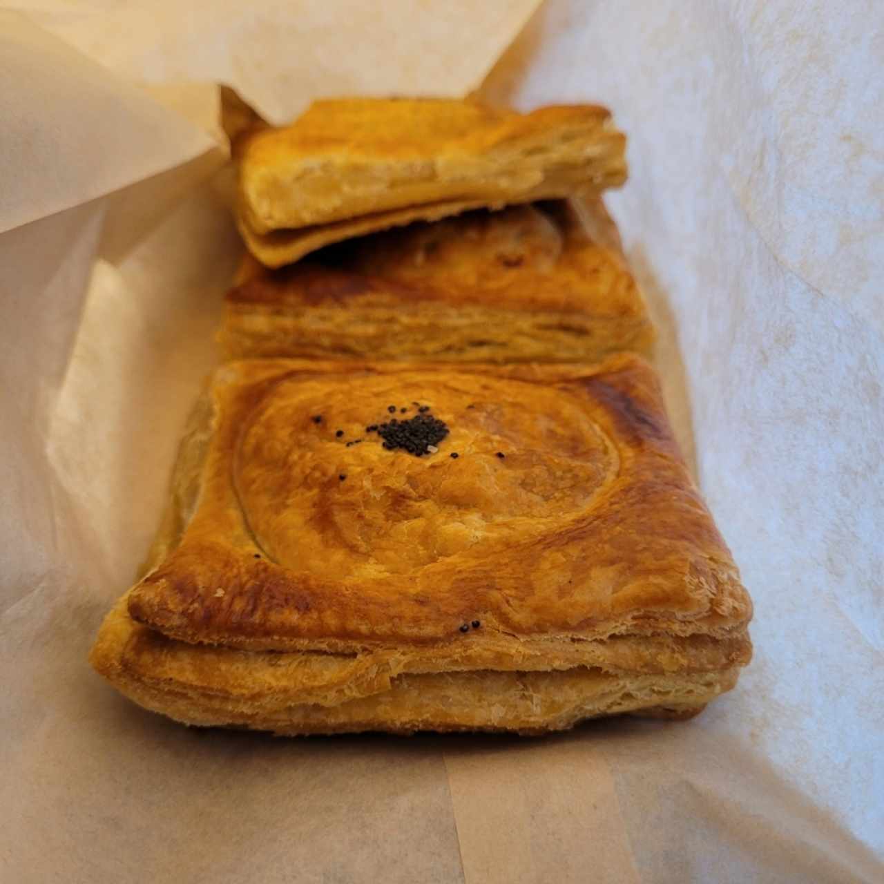 pastelitos carne 