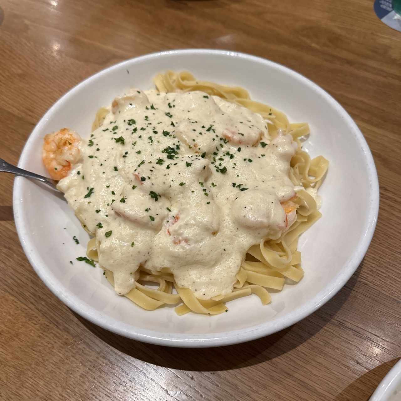 Amazing Alfredos - Shrimp Alfredo