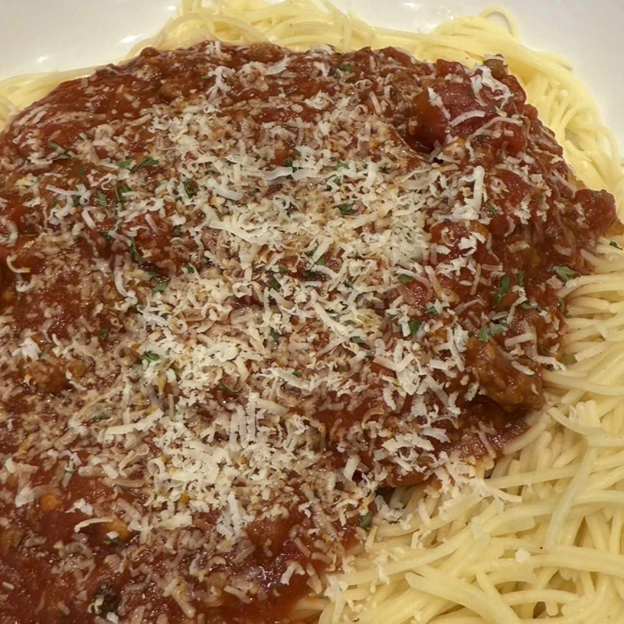 Cappellini con salsa boloñesa 